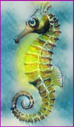 Meanings for your Spirit Animal Guides with The Seahorse Animal Spirit