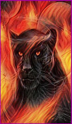 Meanings for your Spirit Animal Guides with The Panther Animal Spirit