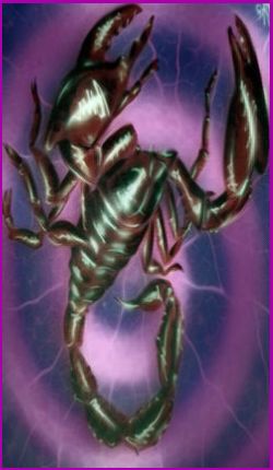 Scorpion spirit meaning